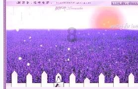 蓝狐视频